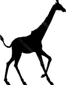 Giraffe Silhouette